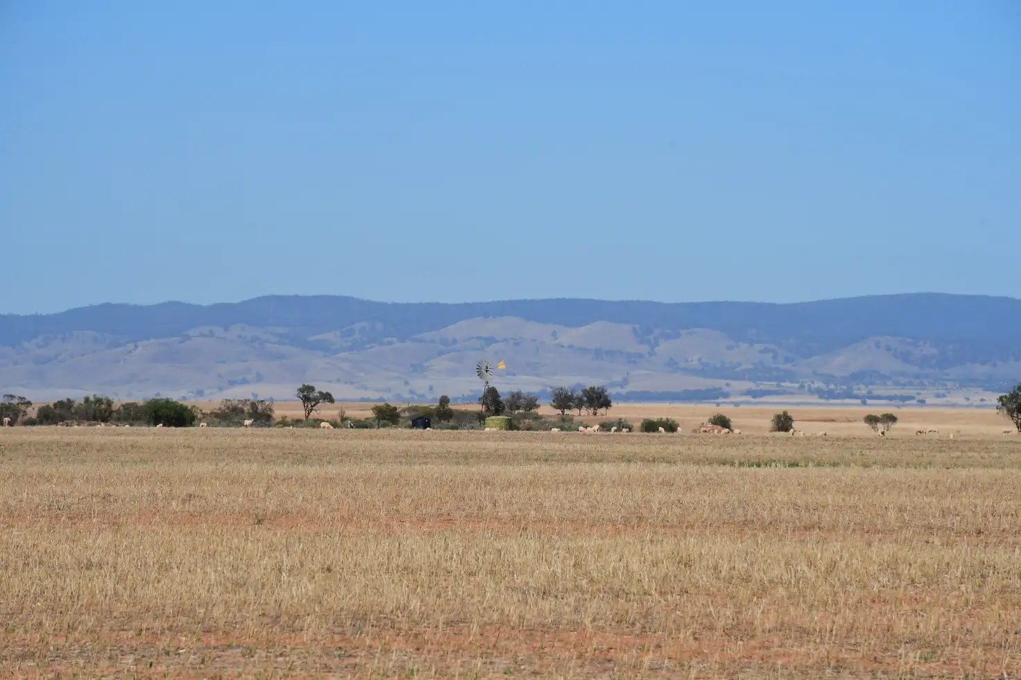 Main view of Homely rural property listing, Lots 25W & 26 Amyton Road, Wilmington SA 5485
