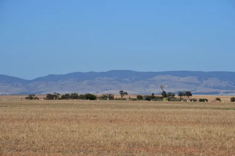 Fourth view of Homely rural property listing, Lots 25W & 26 Amyton Road, Wilmington SA 5485