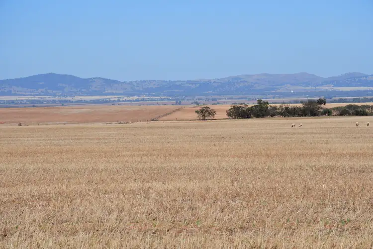 Sixth view of Homely rural property listing, Lots 25W & 26 Amyton Road, Wilmington SA 5485