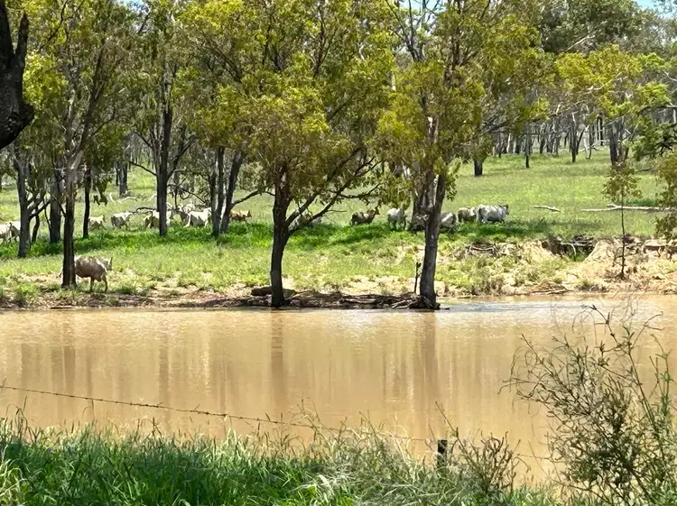 Main view of Homely rural property listing, 1359 Smiths Road, Taroom QLD 4420