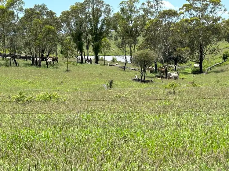 Fifth view of Homely rural property listing, 1412 Smiths Road, Taroom QLD 4420