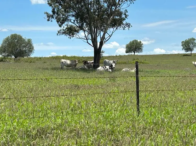 Sixth view of Homely rural property listing, 1412 Smiths Road, Taroom QLD 4420
