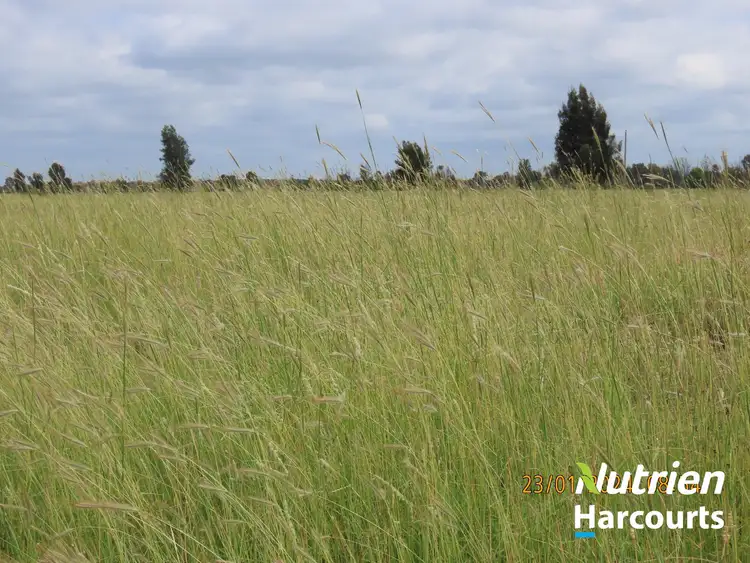 Second view of Homely rural property listing, 2771 G Tennysons Road, Chinchilla QLD 4413