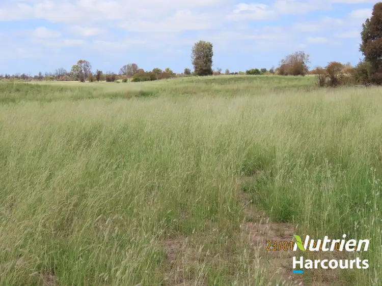 Fifth view of Homely rural property listing, 2771 G Tennysons Road, Chinchilla QLD 4413