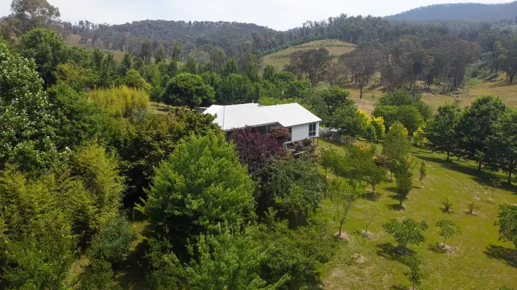 Main view of Homely rural property listing, 3878 Jingellic Road, Lankeys Creek, Holbrook NSW 2644