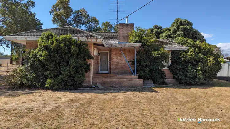 Second view of Homely house listing, 31 Robinson Street, Gingin WA 6503