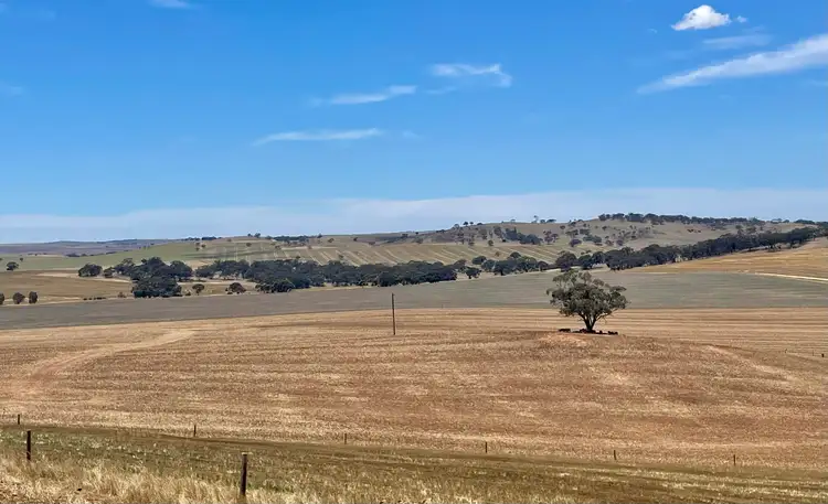 Main view of Homely rural property listing, Lot 8 Tarnma Rd, Tarnma SA 5413