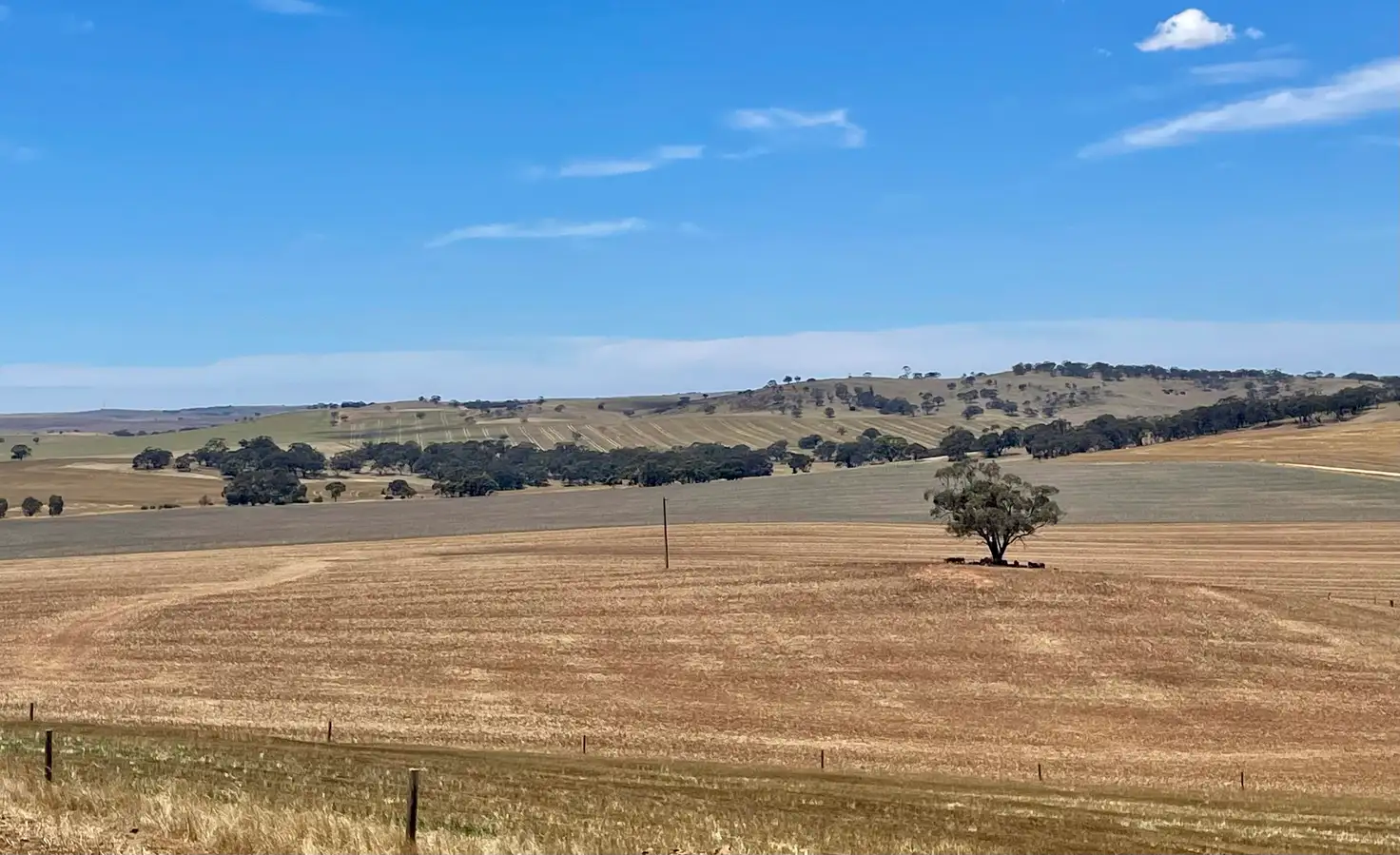 Main view of Homely rural property listing, Lot 8 Tarnma Rd, Tarnma SA 5413