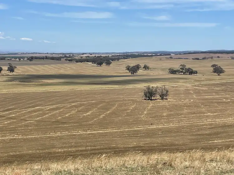 Third view of Homely rural property listing, Lot 8 Tarnma Rd, Tarnma SA 5413