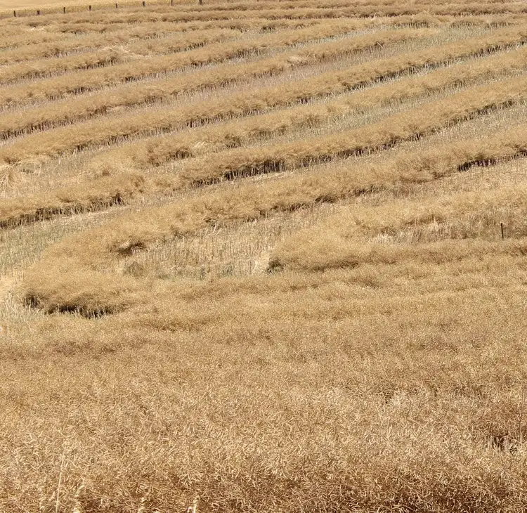 Seventh view of Homely rural property listing, Lot 8 Tarnma Rd, Tarnma SA 5413