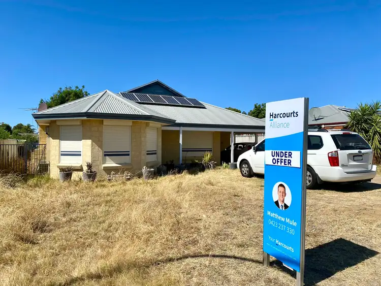 Main view of Homely house listing, 19 Witchetty Loop, Banksia Grove WA 6031