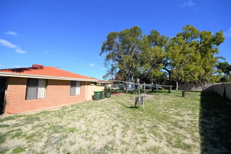 Third view of Homely house listing, 3 Yew Court, Mirrabooka WA 6061