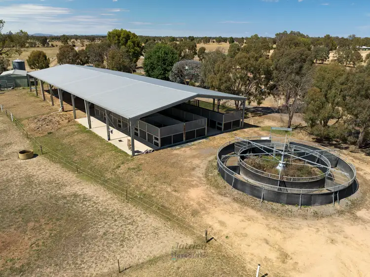 Fourth view of Homely rural property listing, 135 McMasters Road, Wahring VIC 3608