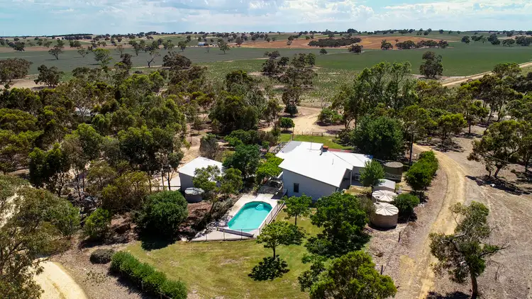 Main view of Homely rural property listing, 595 Brimbago South Road, Keith SA 5267