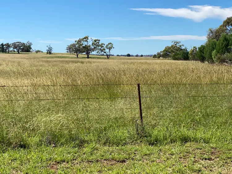 8308 The Bogan Way, Trundle NSW 2875