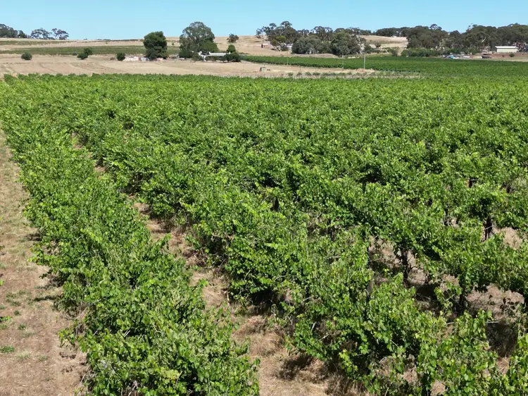 28 Robinson Road, Clare SA 5453