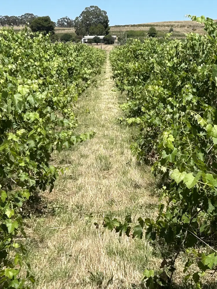 Fifth view of Homely rural property listing, 28 Robinson Road, Clare SA 5453