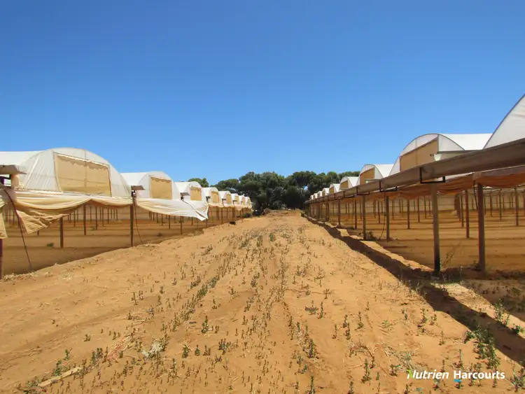 Seventh view of Homely rural property listing, Lot 2451 Arthur Road, Walkaway WA 6528