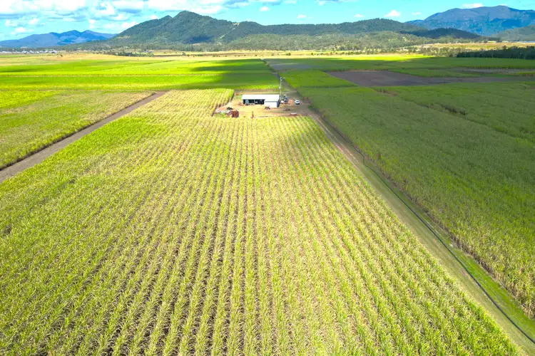 Second view of Homely rural property listing, Lot 4 Marge Camerons Road, Marian QLD 4753