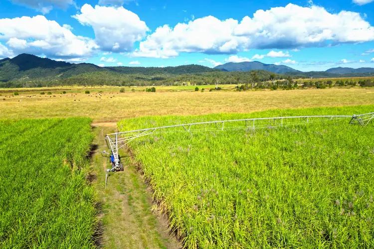 Fifth view of Homely rural property listing, Lot 4 Marge Camerons Road, Marian QLD 4753