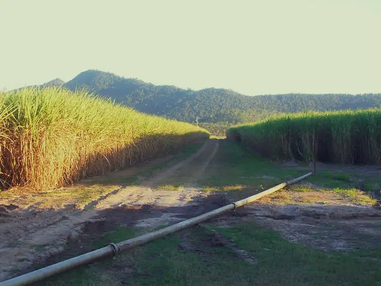 Sixth view of Homely rural property listing, Lot 4 Marge Camerons Road, Marian QLD 4753