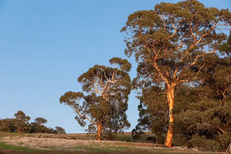 Third view of Homely land listing, LOT 630 Barzona Way, Lower Chittering WA 6084