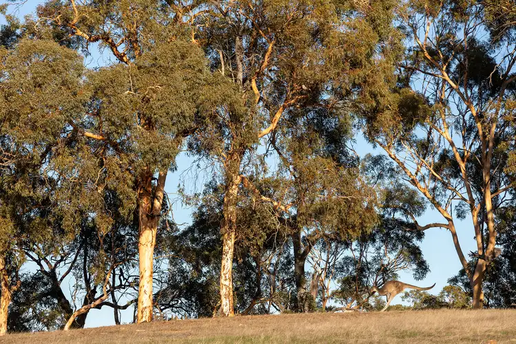 Fourth view of Homely land listing, LOT 626 Barzona Way, Lower Chittering WA 6084