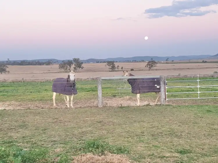 Fifth view of Homely rural property listing, 189 Palmer Road, Nobby QLD 4360