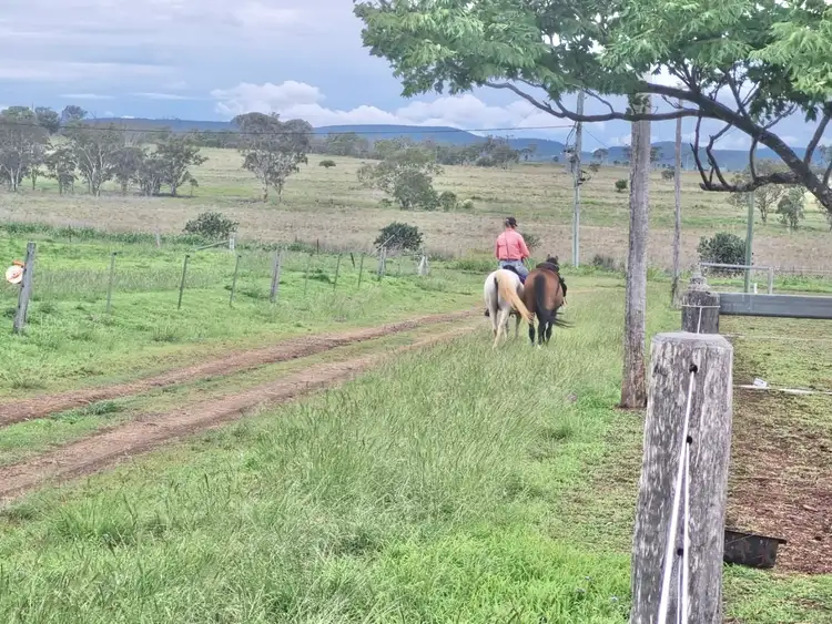 Sixth view of Homely rural property listing, 189 Palmer Road, Nobby QLD 4360