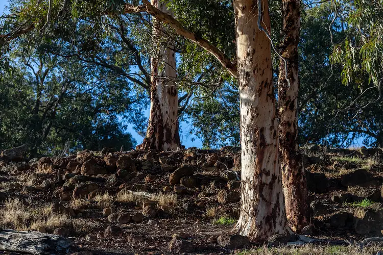 Third view of Homely land listing, LOT 617 Malvi Close, Lower Chittering WA 6084