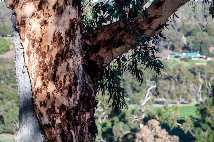 Fourth view of Homely land listing, LOT 617 Malvi Close, Lower Chittering WA 6084