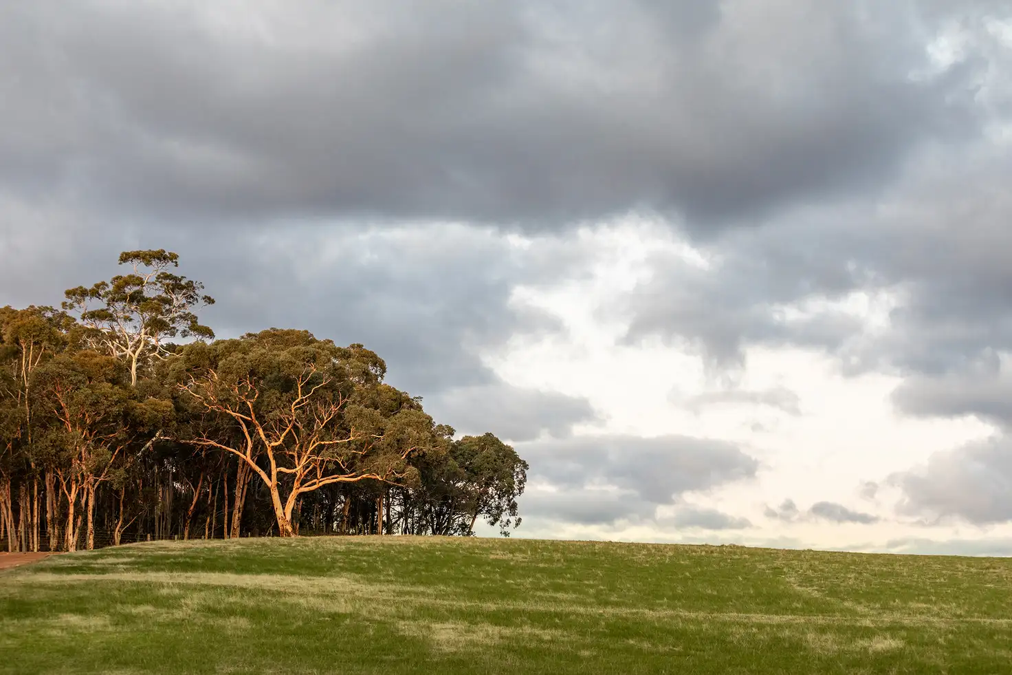 Main view of Homely land listing, LOT 631 Malvi Close, Lower Chittering WA 6084