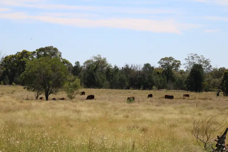 Sixth view of Homely rural property listing, 392 Murrumbilla Lane, Narrabri NSW 2390