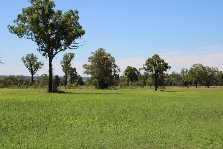 Seventh view of Homely rural property listing, 392 Murrumbilla Lane, Narrabri NSW 2390