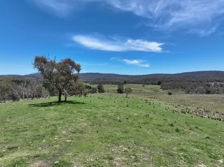Second view of Homely rural property listing, 171 Haydens Bog Road, Delegate NSW 2633