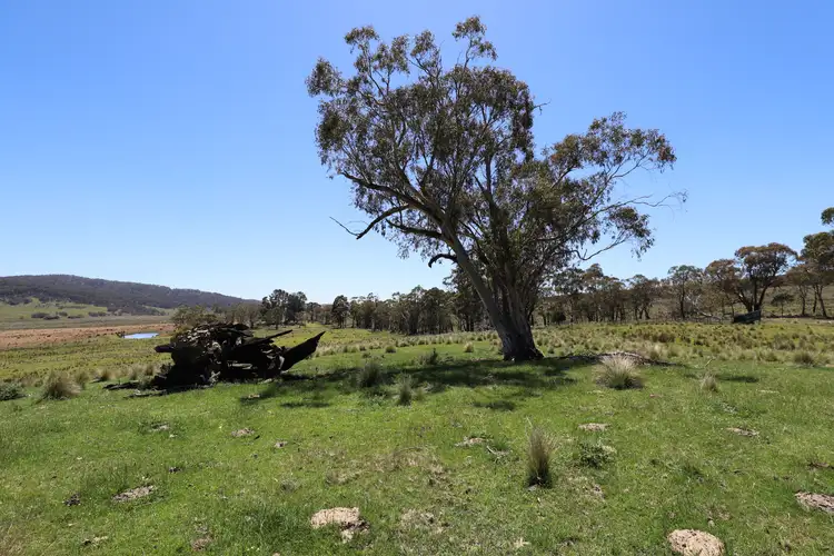 Third view of Homely rural property listing, 171 Haydens Bog Road, Delegate NSW 2633