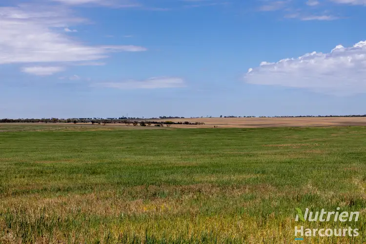 250 Treloar Road, Minlaton SA 5575