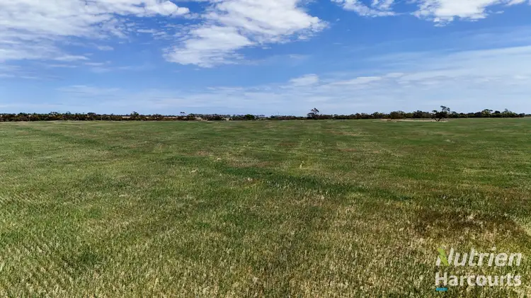 Second view of Homely rural property listing, 250 Treloar Road, Minlaton SA 5575