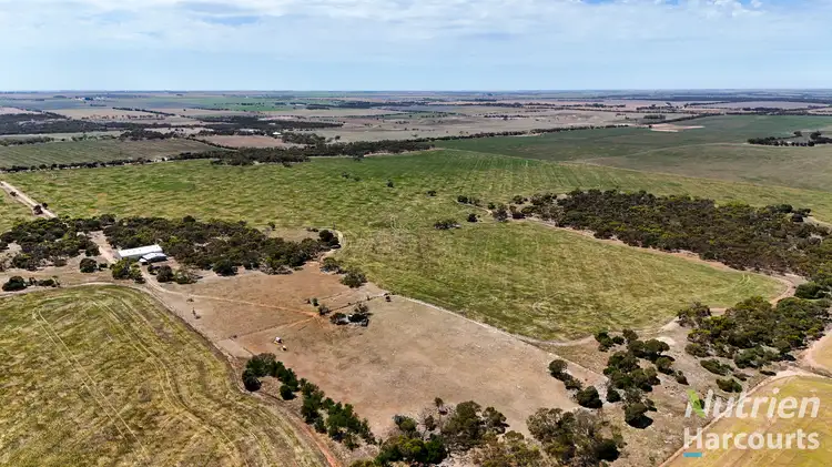 Third view of Homely rural property listing, 250 Treloar Road, Minlaton SA 5575