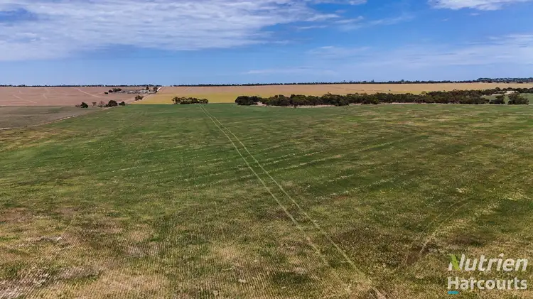Fifth view of Homely rural property listing, 250 Treloar Road, Minlaton SA 5575