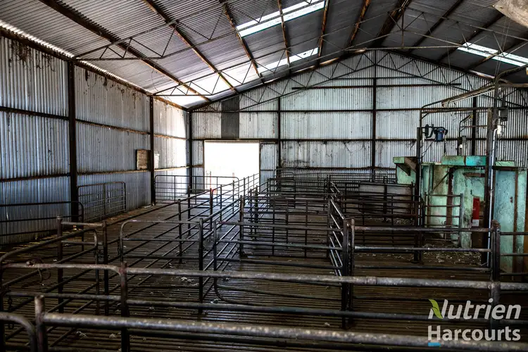 Seventh view of Homely rural property listing, 250 Treloar Road, Minlaton SA 5575