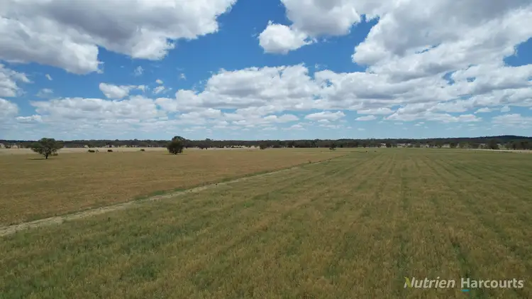 140 Clunes-Evansford Road, Evansford VIC 3371