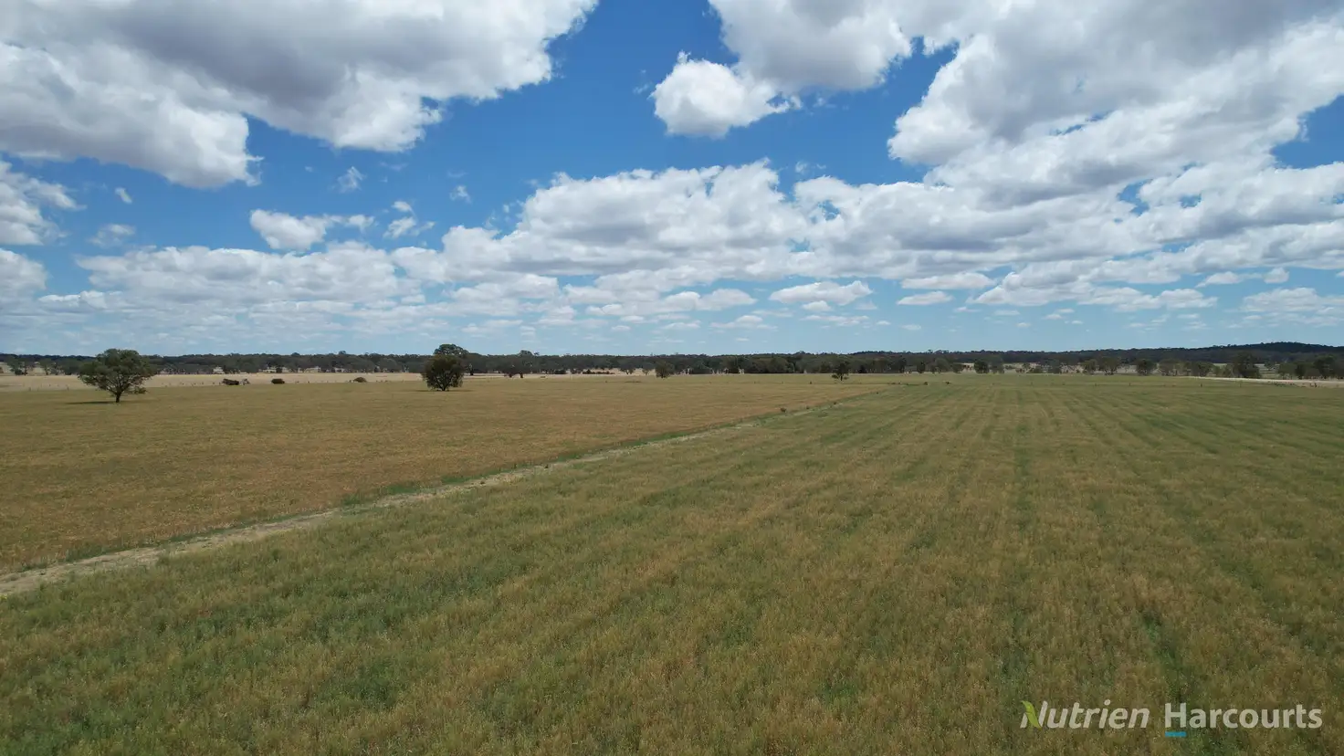 Main view of Homely rural property listing, 140 Clunes-Evansford Road, Evansford VIC 3371