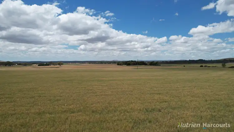 Second view of Homely rural property listing, 140 Clunes-Evansford Road, Evansford VIC 3371