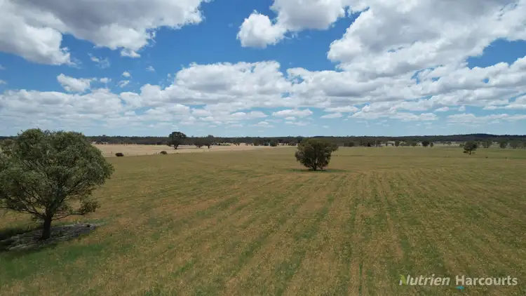 Third view of Homely rural property listing, 140 Clunes-Evansford Road, Evansford VIC 3371