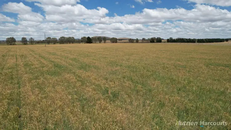 Fourth view of Homely rural property listing, 140 Clunes-Evansford Road, Evansford VIC 3371