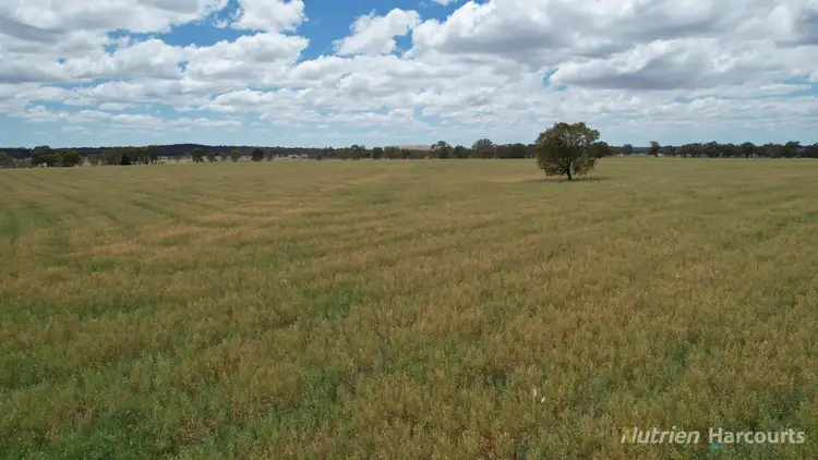 Fifth view of Homely rural property listing, 140 Clunes-Evansford Road, Evansford VIC 3371