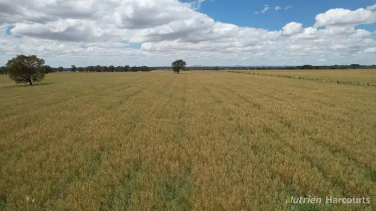 Sixth view of Homely rural property listing, 140 Clunes-Evansford Road, Evansford VIC 3371