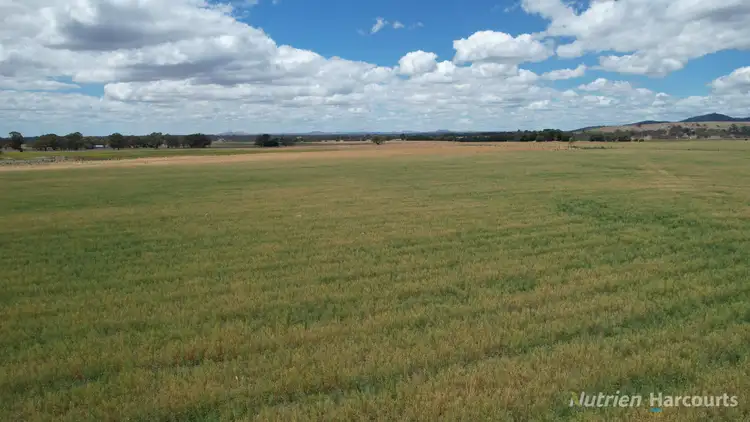 Seventh view of Homely rural property listing, 140 Clunes-Evansford Road, Evansford VIC 3371