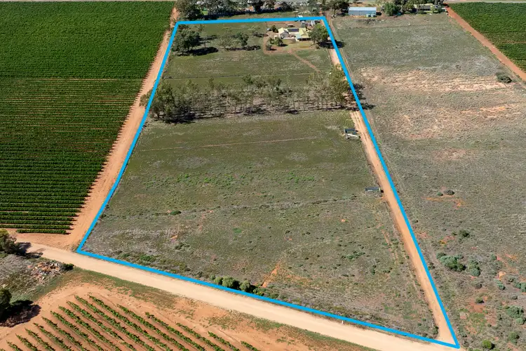 Second view of Homely house listing, 44 Davidson Road, Barmera SA 5345